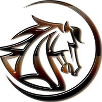 MST_MustangCoin_MST交易所_MST币