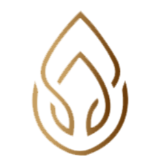 ANOW_Anow_ANOW交易所_ANOW币