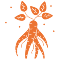 GINS_Ginseng_GINS交易所_GINS币