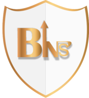 BINS_Bitsense_BINS交易所_BINS币