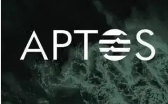 新加坡安全公司Numen发现Aptos公链首个高危0day漏洞_MOV:DAO
