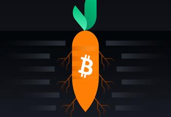 Taproot激活前瞻 一文了解Bitcoiner该做什么_Tap:apr币圈