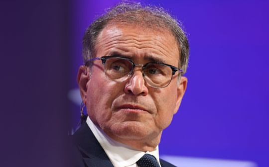 末日博士 Roubini 抨击赵长鹏为“一颗行走的定时炸弹”_BIN:Ubiner