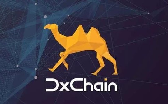 DxChain驰援武汉 集结全球社区力量抗击疫情