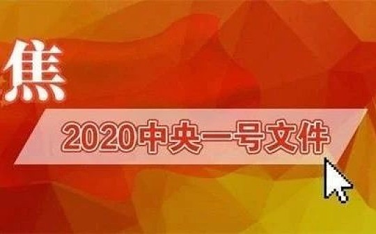 2020中央一号文件为何将区块链排在人工智能和5G之前