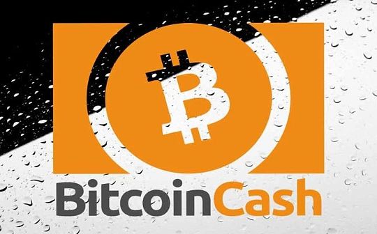 多个主流项目开发资金都面临“烧光” BCH该不该征矿工税？