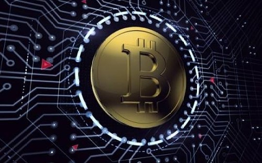 金色早报｜比特币第一季度交易量较上一季度增长61％