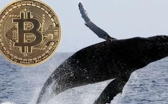 金色观察 | 灰度GBTC增持BTC加快 已坐拥33.73亿美元BTC