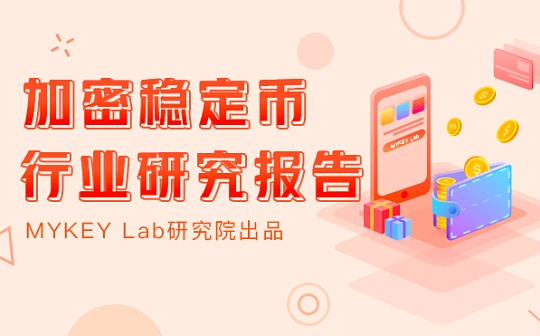 首发 | 稳定币报告 :持续增长下仍有不确定性