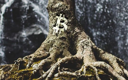 一文读懂即将到来的比特币Taproot 升级 为何它如此重要？