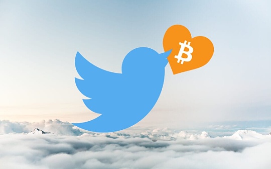 Twitter 组建加密部门 社交巨头们集体拥抱加密领域
