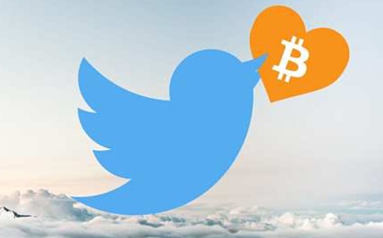 Twitter组建加密部门：海外社交巨头集体拥抱加密领域向Web 3.0进发