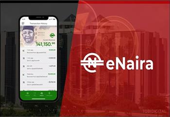 国际货币基金组织公布尼日利亚eNaira项目启动的效果