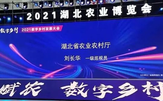 湖北省打造全球第一个元宇宙“灵境”乡村_元宇宙:秘银币mith前景怎么样