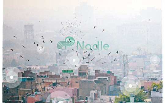 金色观察｜一文读懂Nodle