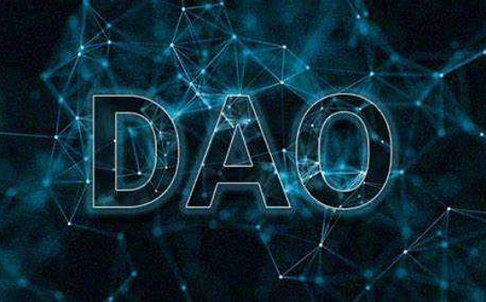 从阿桑奇 DAO 聊起 万字长文分析 DAO 赛道的进化_NBS:nbs币官网