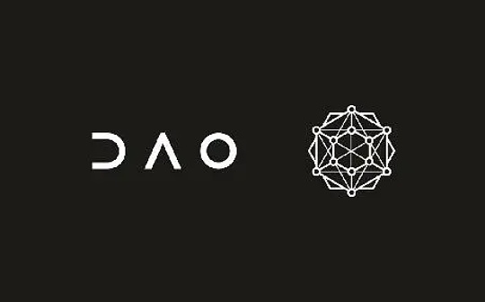 DAO 金库资产多元化指南