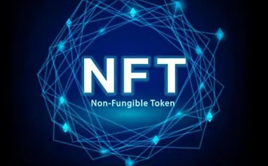 快来在游戏中定制属于你自己的NFT宠物Wholeks吧