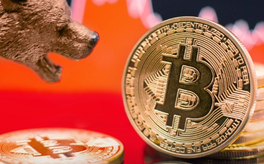 金色观察 | 加密熊市的不同阶段与市场选择