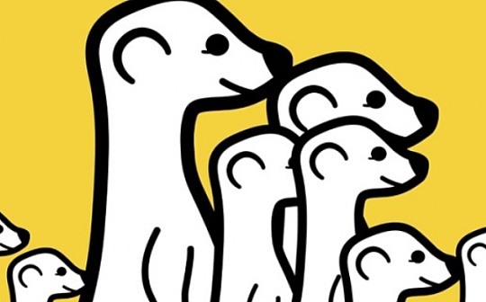 Meerkat Finance跑路事件分析：上线不到1天就携款跑路 3000万美金被卷走