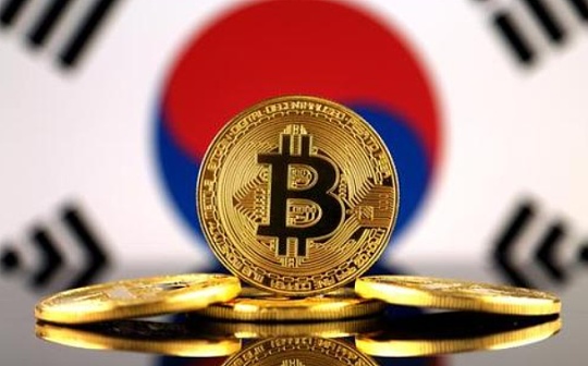 数字货币韩国热：“泡菜溢价”还存在吗 有哪些热门资产值得关注？