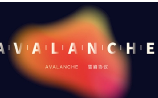 Avalanche Wilson：AVAX价值来自共识 共识来自生态扩张