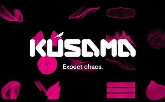 Kusama插槽拍卖注意事项