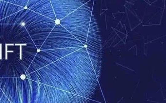 肖飒：？NFT或成新宠