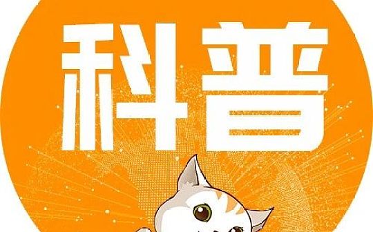 三分钟搞懂 ERC-20 和 ERC-721 的不同