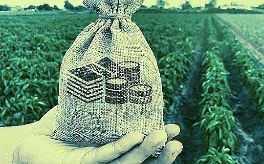 晚间必读5篇 | DeFi的创新速度到底有多快？