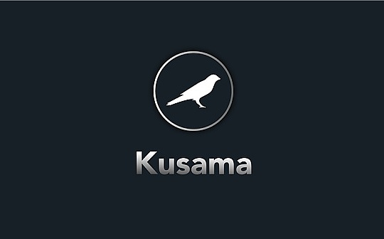 波卡Kusama插槽拍卖埋了哪些「彩蛋」？