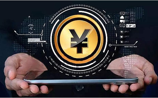 国际清算银行:多CBDC安排与跨境支付的未来