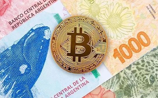指标显示我们正处于牛市周期的开始