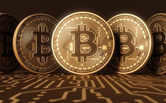 调查：自2018年以来 持有比特币的美国投资者数量增加了两倍