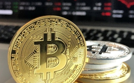 市场行情分析报告（周度简版）