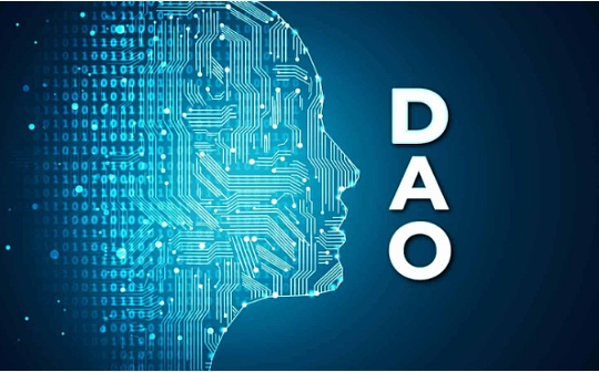 以太坊的工具：深度解析DAO组织