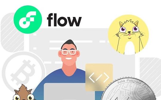Flow VS 以太坊：深度对比两条公链以及合约开发语言_FLO:NFT Platform Index