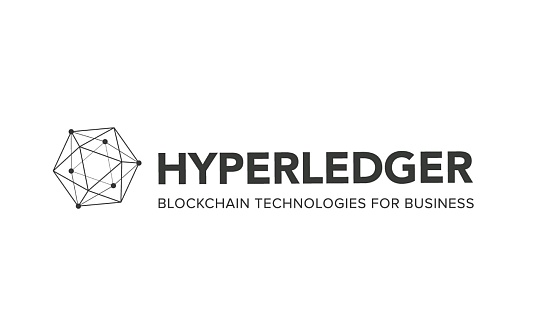 金色观察｜一文读懂Hyperledger联盟链解决方案