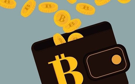 比特币入门丨怎么保管你的数字货币？_NFT:WAL