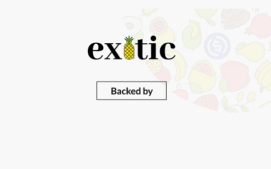 Exotic：灵活的去中心化结构性产品_RON:CFISH币