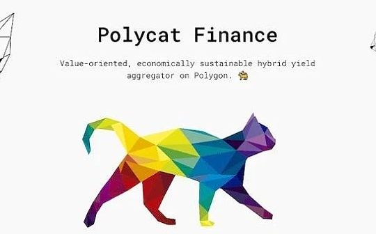 如何使用MATIC原生机池Polycat？_NFT:Nyx Token