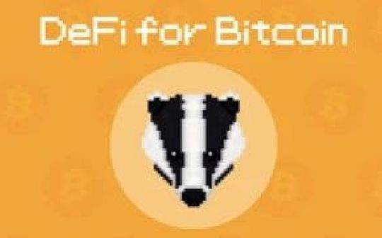 Badger：加速比特币在DeFi中的发展_ADG:DAO