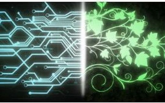 自动化奥斯特罗姆（Ostrom）以实现有效的DAO管理_YAX:yAxis