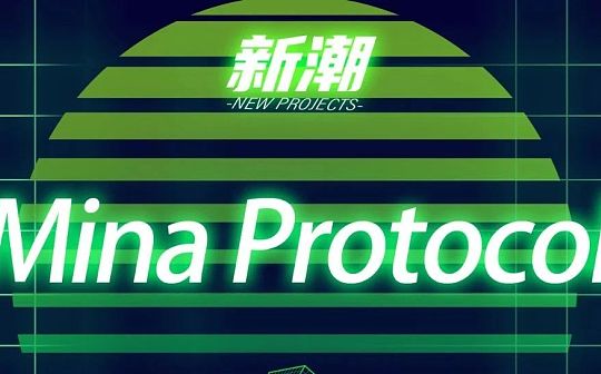 轻量级区块链协议Mina Protocol_MIN:PRO
