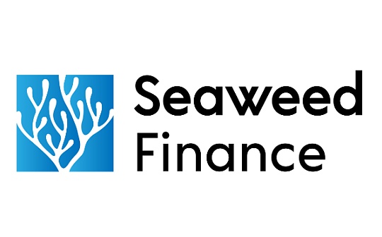 主打去中心化期权市场—为什么Seaweed值得关注？_WEED:DEFI