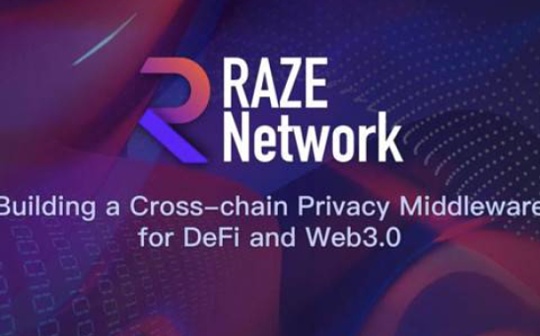 五分钟了解 Raze Network：波卡生态跨链隐私中间件协议_RAZE:Shield Network