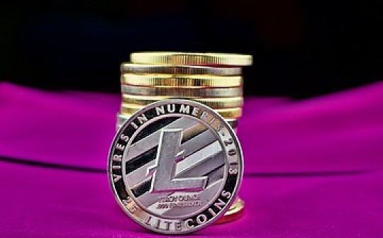 金色内参：LTC第二次挖矿减半市值还能翻5倍吗？_BTC:bitflyer下载app