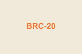 从「叙事经济学」看BRC-20的爆火路径：回归初心的新叙事_ORD:Ordinal Pepe