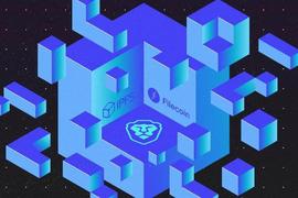 Brave宣布在Brave钱包推出自动化NFT备份及增强Filecoin支持功能_LAYER:filecoin币的投资价值