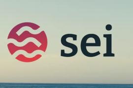 再获大额融资，一文梳理Sei Network的最新进展和生态版图_SSV:WOR
